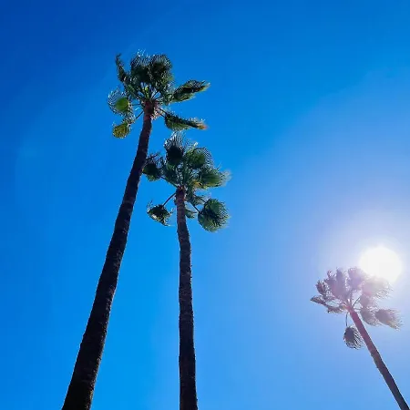 Meloneras Oasis Stress Less * Maspalomas (Gran Canaria)